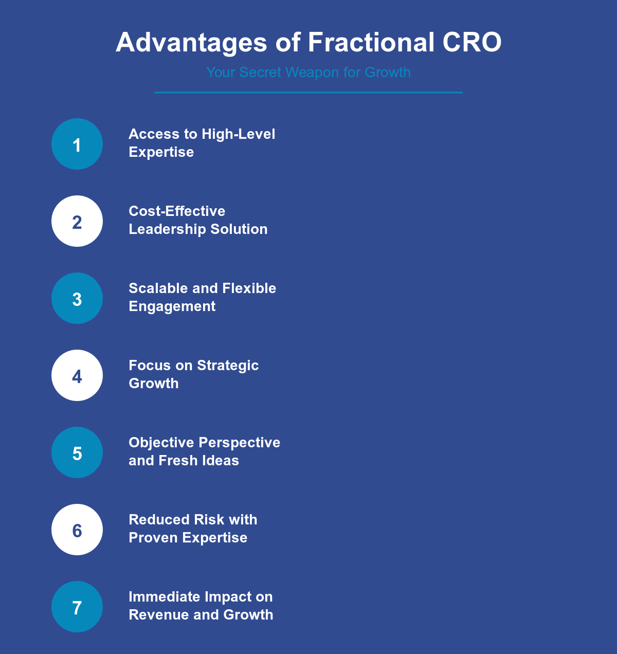 fractional cro infographic 2 e1766413582922